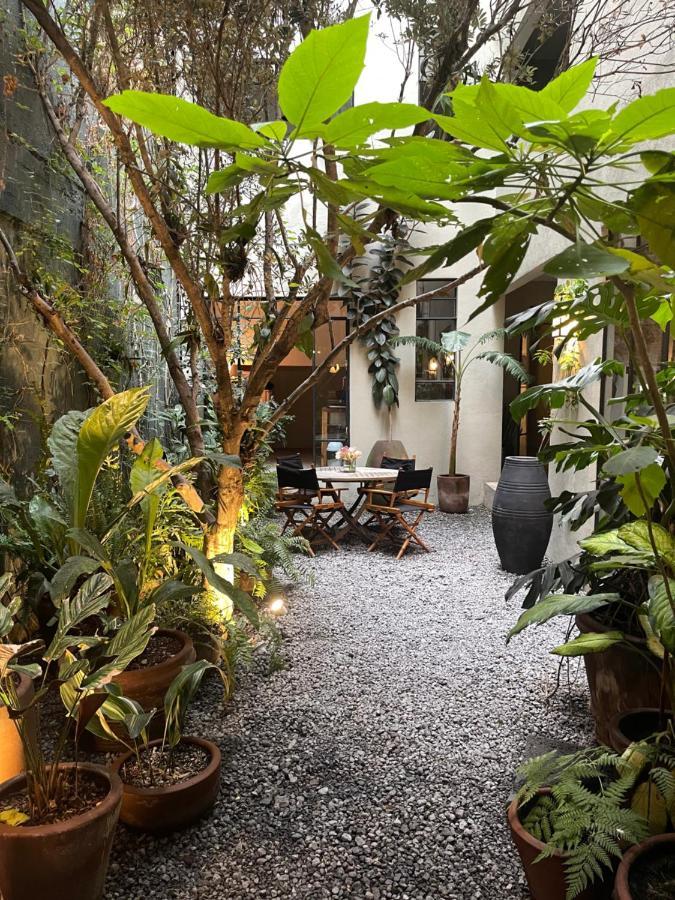 Casa Lola *