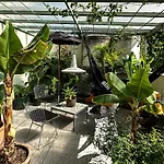 Casa Lola Mexico