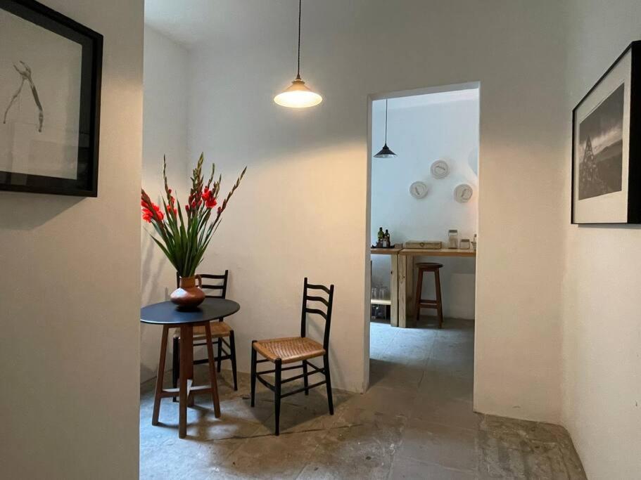 Homestay Casa Lola Mexico City