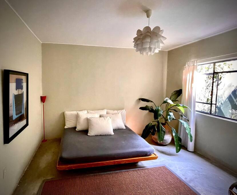 Homestay Casa Lola *